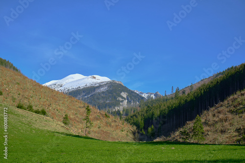 Panorama of snowy Tatra mountains in spring, south Poland
