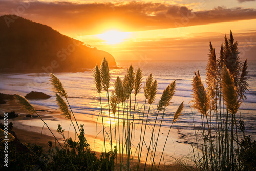 view sunset coast grass