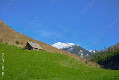 Panorama of snowy Tatra mountains in spring, south Poland