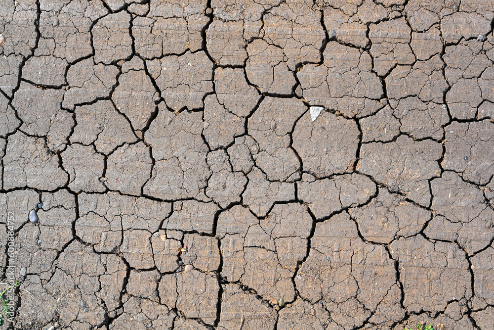 Dry mud cracked ground texture. Drought season background. Dry and cracked land, dry due to lack of rain. Effects of climate change. Dry mud cracked ground texture. Drought season background. Dry and cracked land, dry due to lack of rain. Effects of climate change.
