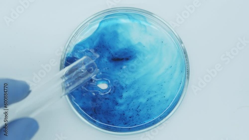 Laboratory chemical test tube and petri dish with blue liquid. Agar or agarose gel containing whatever nutrients the organism requires. Mixing medicines. Indicators. Solution. Top view.