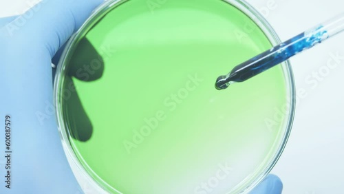 Petri dish with green liquid. Toxic substances. Chemical reactions. Scientific experiment. Blue liquid. Pollution and spread. Reproduction of bacteria. Virus and disease. Drop of blue luqvid. 