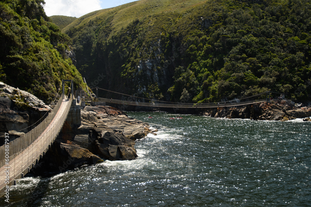 Fototapeta premium Hanging Bridges in Tsitsikamma 