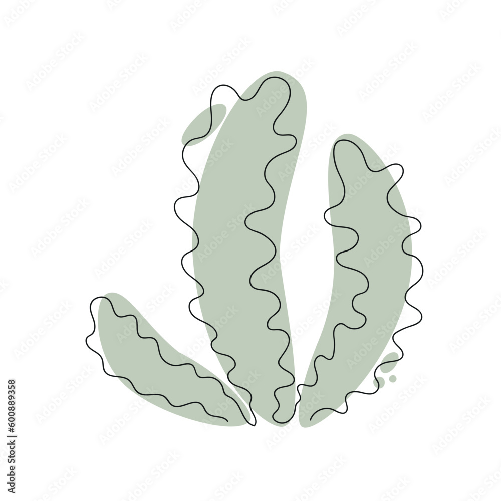 Seaweed drawn in one continuous line with green color spots. One line drawing, minimalism. Vector illustration. Seaweed drawn in one continuous line with green color spots. One line drawing, minimalism. Vector illustration.