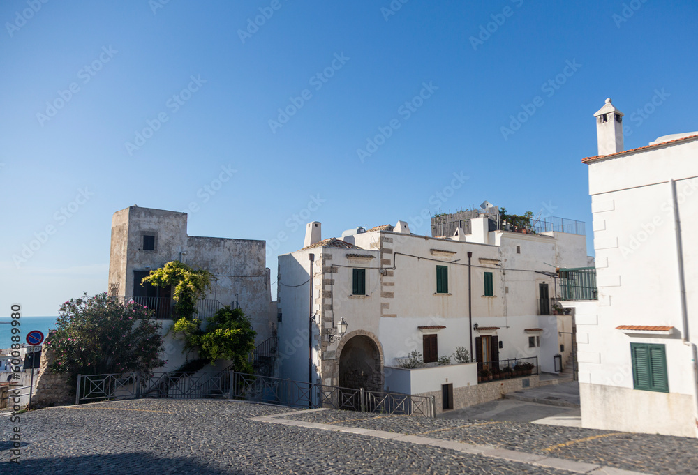 A street and houses in the old town of Vieste, Puglia, Italy. Vacation on the Adriatic sea