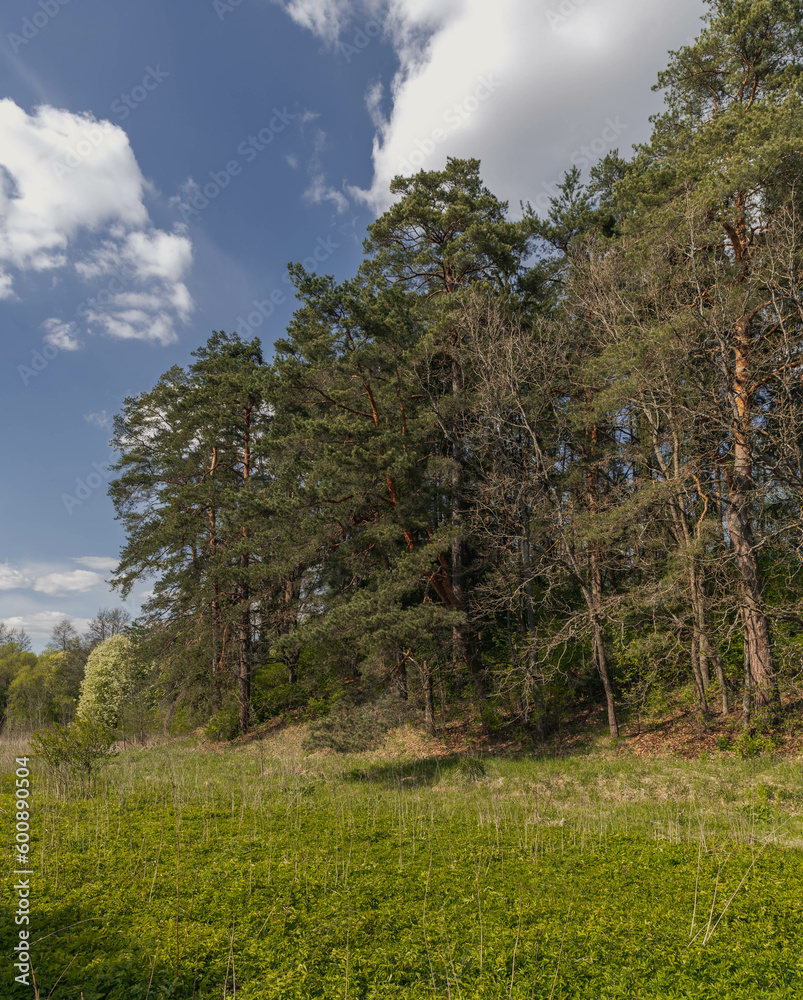 Picturesque river Isloch in Belarus. Spring. Rakovsky district. Picturesque river Isloch in Belarus. Spring. Rakovsky district.
