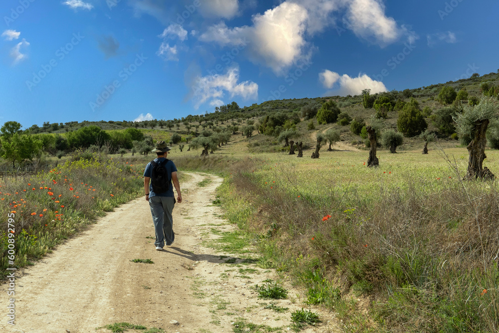 Backpacker walking along a country road.3