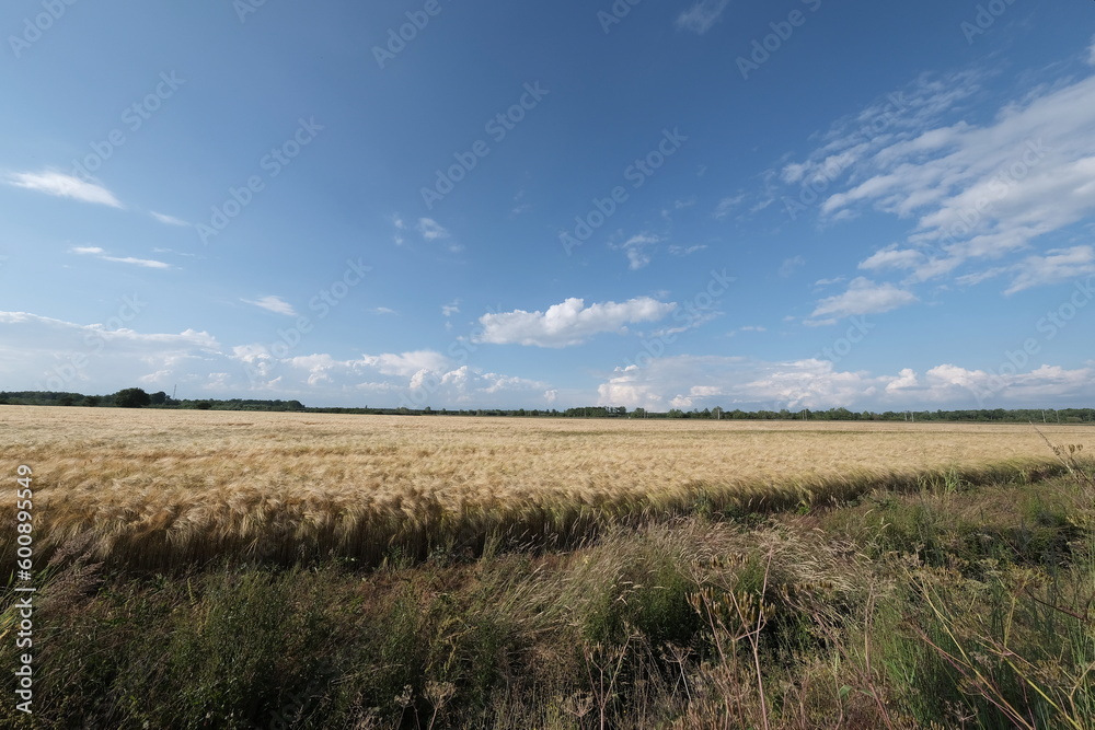 Skies, shot with a wide-angle lens. Perspectives are distorted, and skies look wider and more dynamic. Shot from the French coast and its countryside. Skies, shot with a wide-angle lens. Perspectives are distorted, and skies look wider and more dynamic. Shot from the French coast and its countryside.