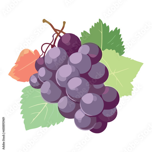 Ripe grape bunch, fresh nature fruit abundance