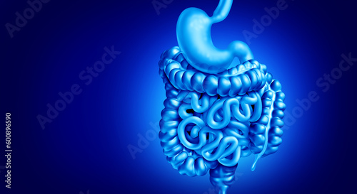 Quadro su tela Human Digestion system as organs for breaking down food absorbing nutrients and