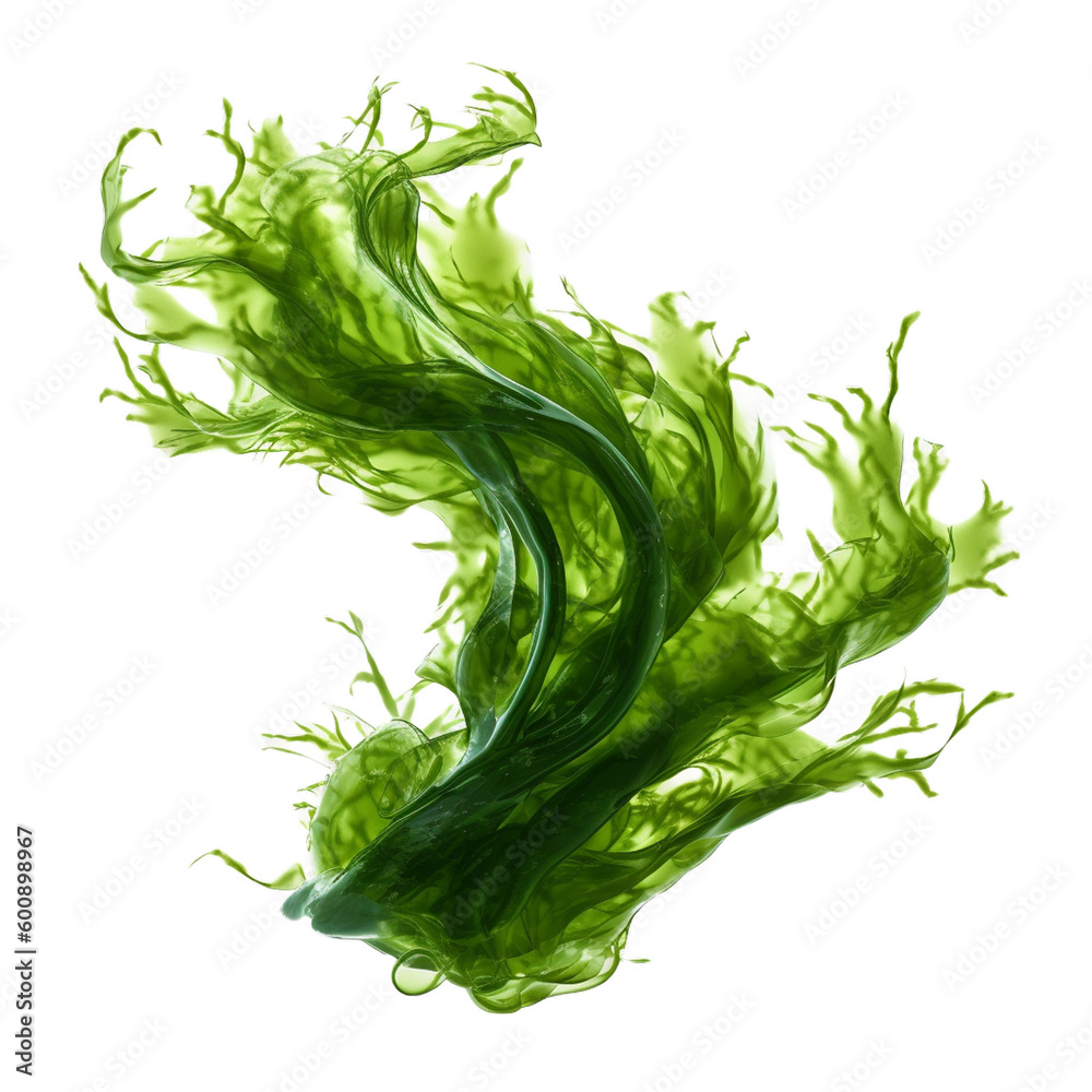 seaweed isolated on transparent background cutout , generative ai - obrazy, fototapety, plakaty 