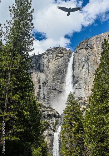 waterfall in yosemite