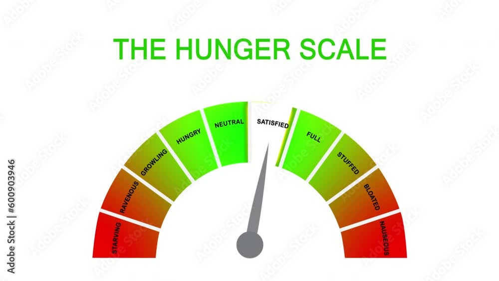 Hunger-fullness scale for intuitive and mindful eating and diet control. Illustration with cartoon rules on the mindful eating theme. Healthy nutrition, perfect body, avoid multitasking, and stress. Hunger-fullness scale for intuitive and mindful eating and diet control. Illustration with cartoon rules on the mindful eating theme. Healthy nutrition, perfect body, avoid multitasking, and stress.