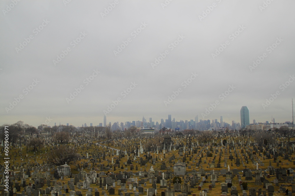Obraz premium Cementerio 