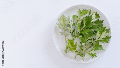 お皿の上のヨモギの葉 白い背景
