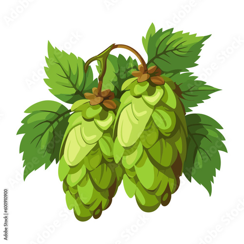 Fresh organic tree hop vector
