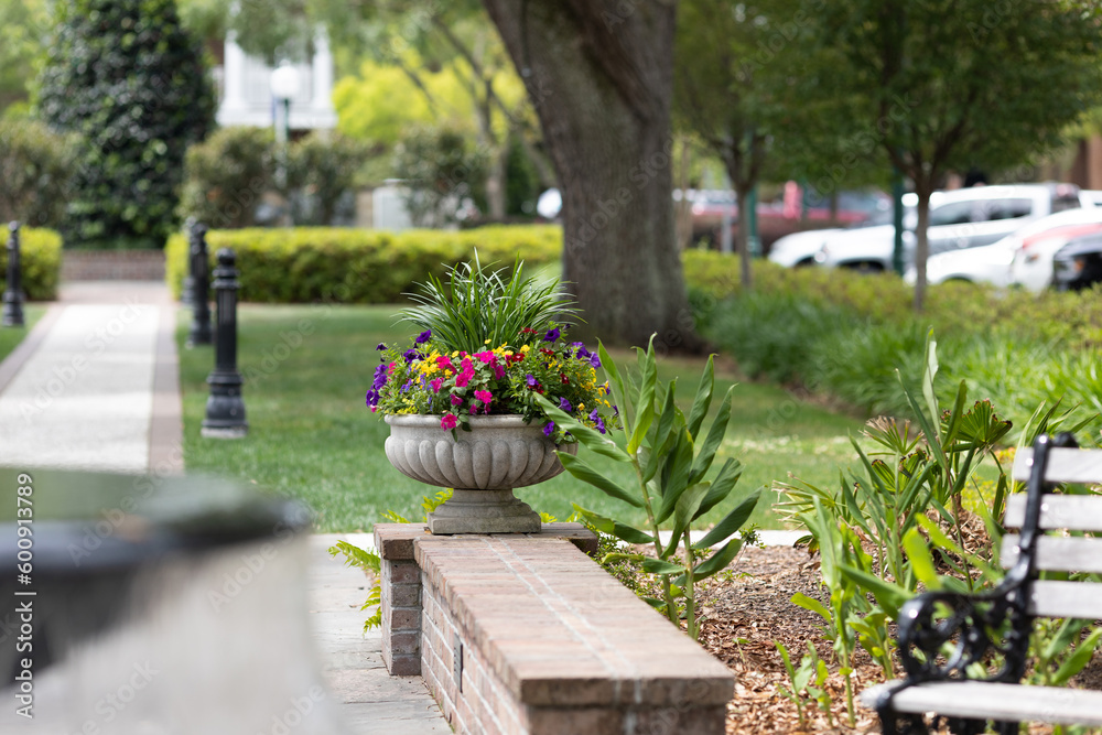 Potted flowers in Huntington Square park in Downtown Summerville, South Carolina. Summerville is the birth place of sweet tea. Sidewalk path in the background Potted flowers in Huntington Square park in Downtown Summerville, South Carolina. Summerville is the birth place of sweet tea. Sidewalk path in the background