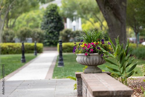 Potted flowers in Huntington Square park in Downtown Summerville, South Carolina. Summerville is the birth place of sweet tea. Sidewalk path in the background