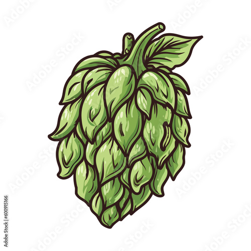 leaf sketch, organic plant hop