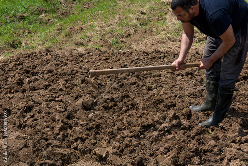 A man is hoeing the soil in his garden to prepare it for vegetable planting on a sunny spring day. Agricultural concept.