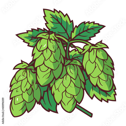 Fresh green plant organic hop