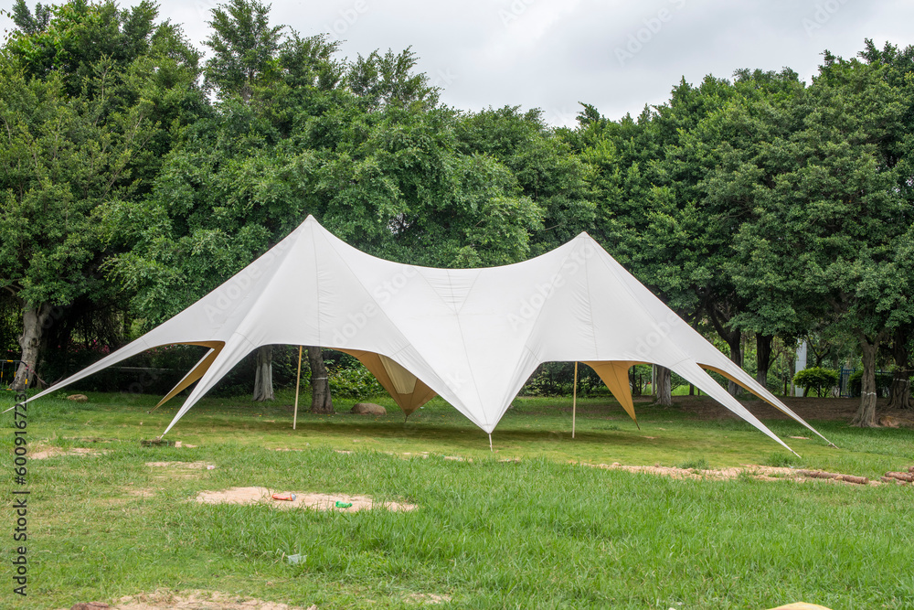 Camping tents on green grass in the park