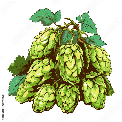 Fresh hop cones for organic beer