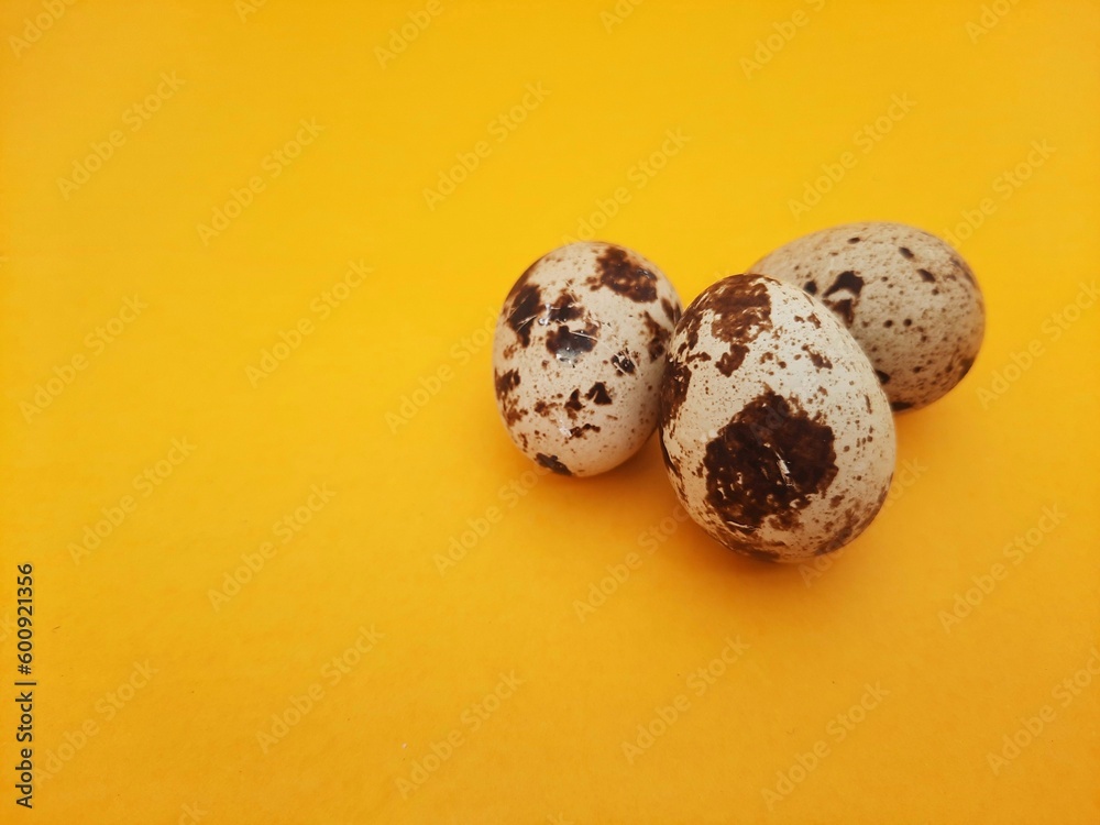 three quail eggs isolated on yellow background three quail eggs isolated on yellow background