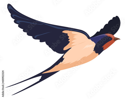 Canvas Print Flying swallow. Color bird drawing. Wild animal