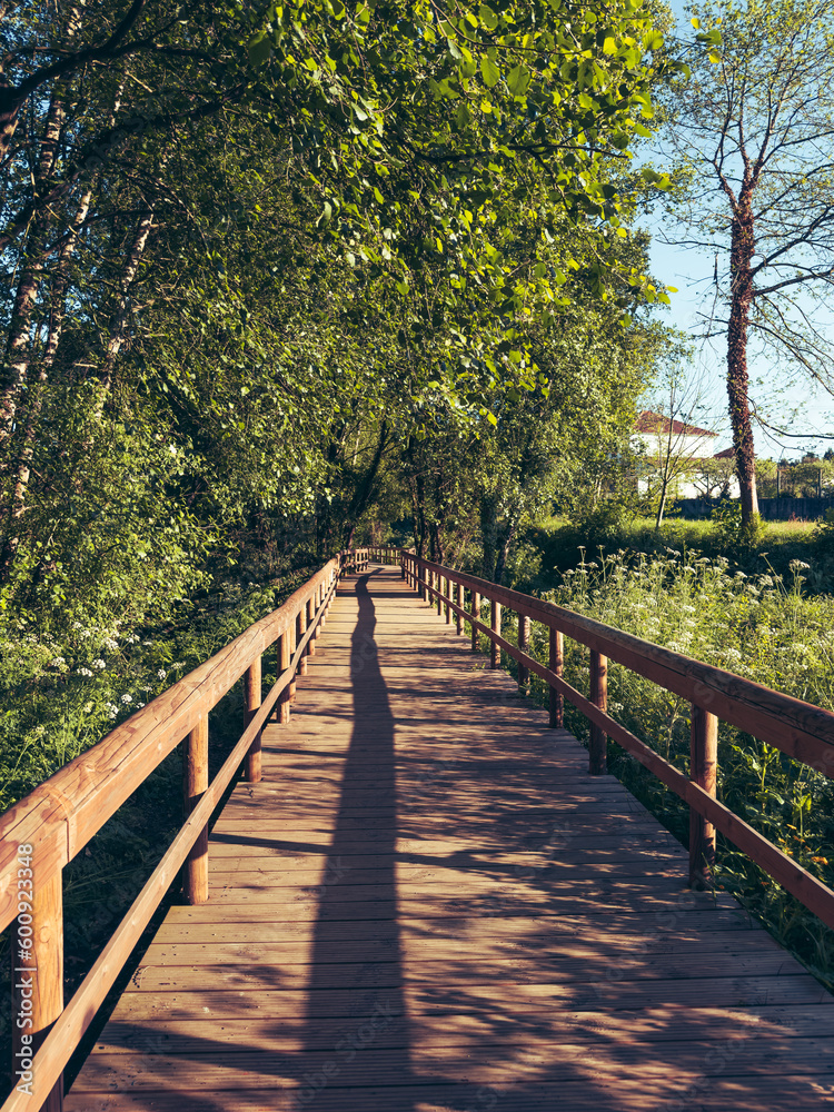 Wooden pathway in Lobao, Santa Maria da Feira - Portugal. Wooden pathway in Lobao, Santa Maria da Feira - Portugal.