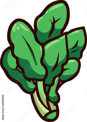 spinach png graphic clipart design