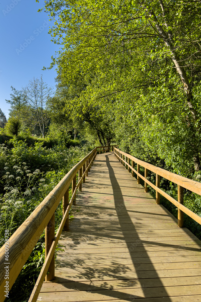 Wooden pathway in Fiaes Wooden pathway in Fiaes