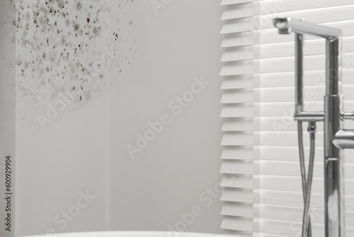 White walls affected with mold in bathroom photo