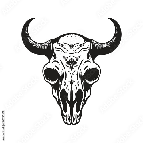 bull skull, vintage logo line art concept black and white color, hand drawn illustration