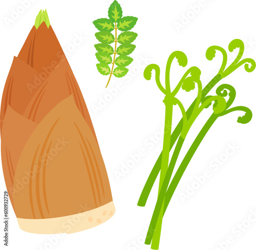 タケノコと木の芽とワラビ