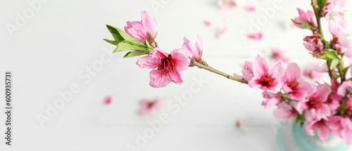 Vase with beautiful blossoming tree branches on light background, closeup