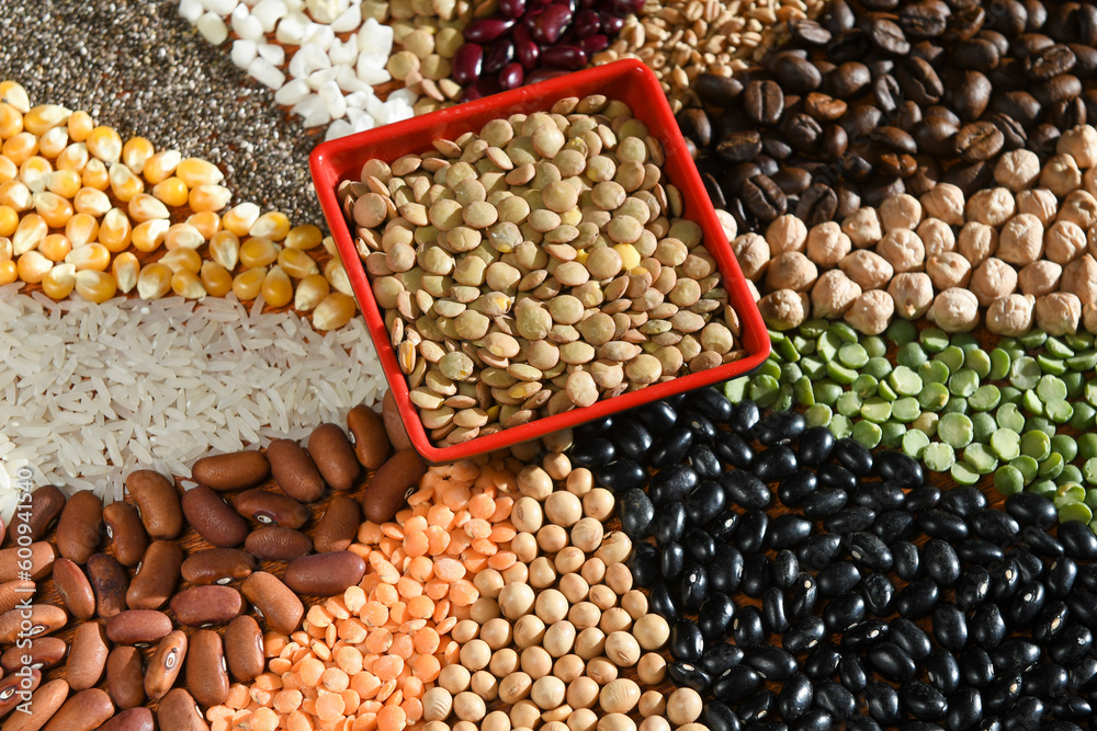 Bowl with raw white lentils on various seeds grain Bowl with raw white lentils on various seeds grain