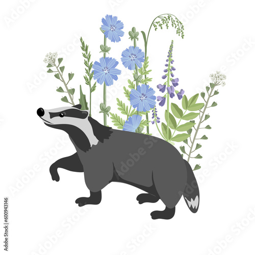 vector drawing badger with blue flowers, hand drawn animal isolated at white background , cartoon style character