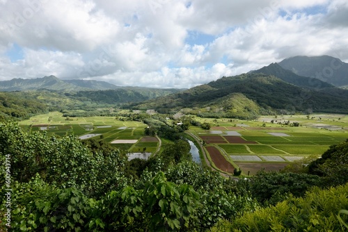 Hanalei valley on the island of Kauai photo