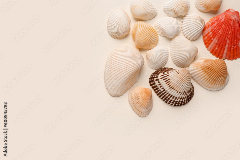 Beautiful seashells on beige background Beautiful seashells on beige background