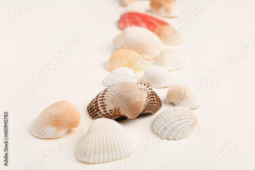 Beautiful seashells on beige background
