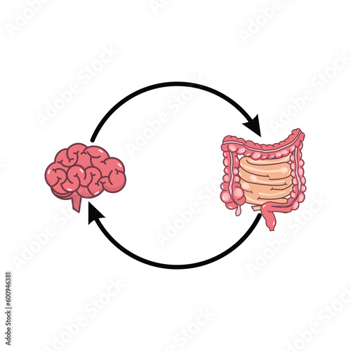 Vector illustration- Gut - Brain connection