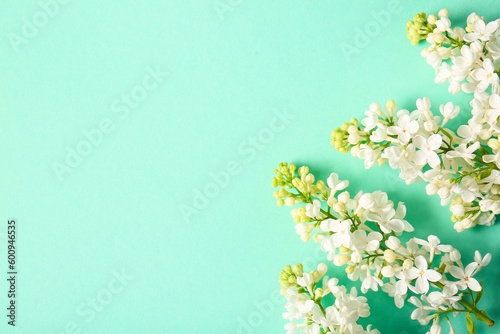 Blooming lilac flowers on turquoise background