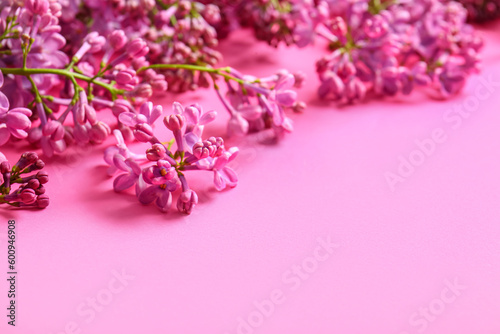 Blooming lilac flowers on pink background