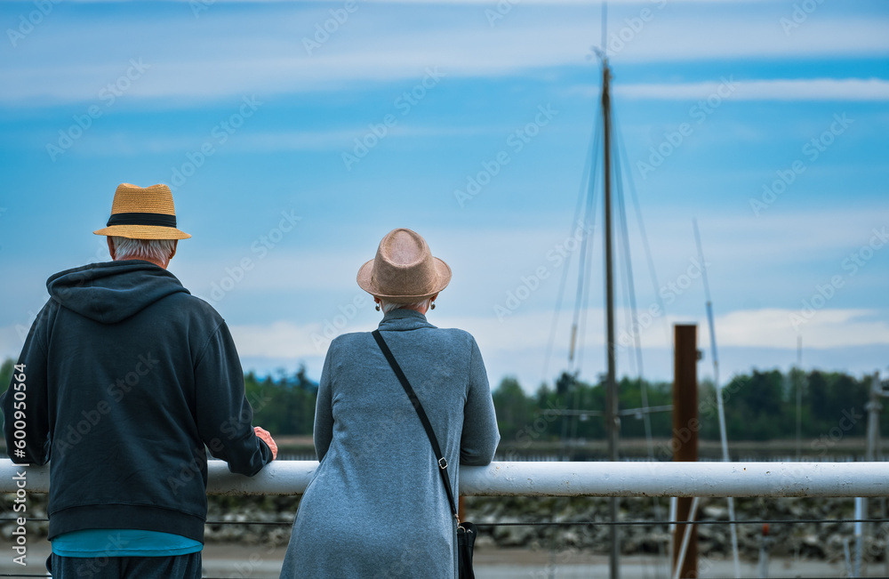 Rear view of a senior couple standing on a wooden deck in the park. Retired Loving senior couple enjoying the sea view.