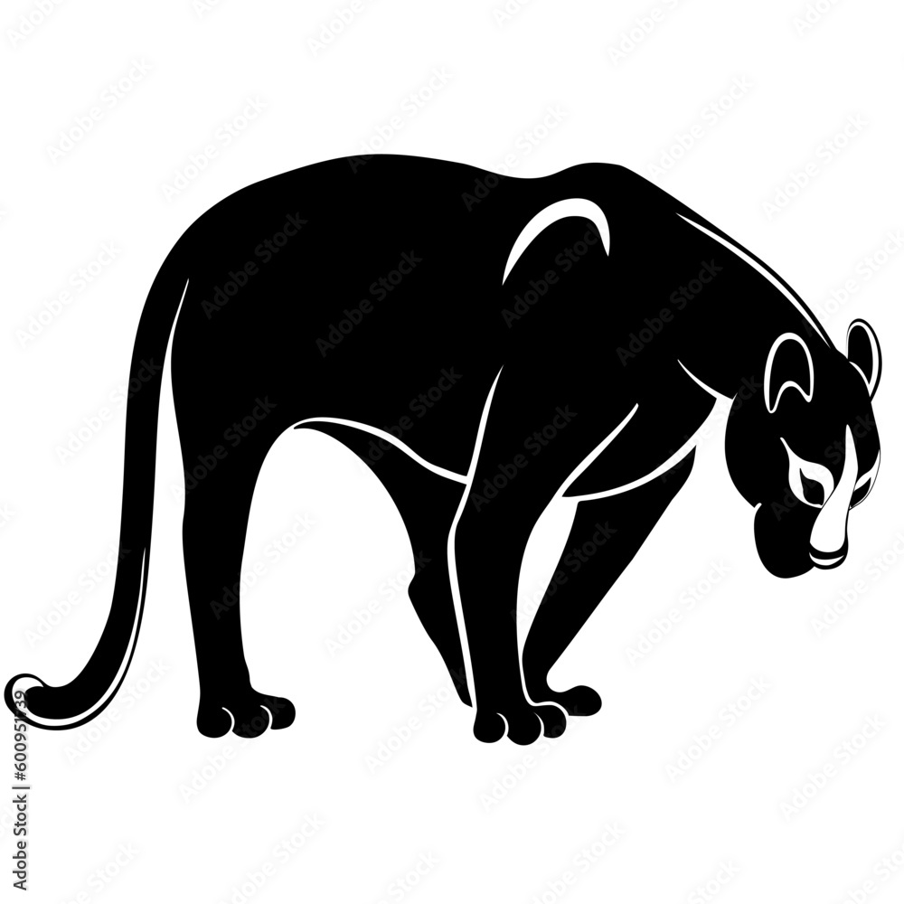 panther black cat