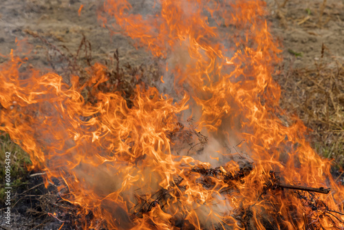 An ecological catastrophe has taken place in spring field which is on fire with large flames burning