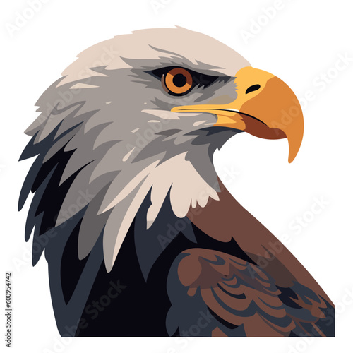 Bird of prey flying with sharp talons