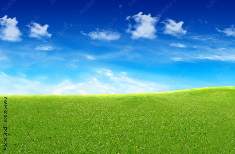 Landscape with green grass under blue sky with clouds.