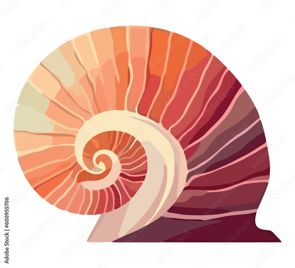 Seashell mollusk nautilus, conch shell